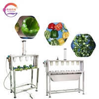 Hexu 304 RVS Paprika Ontkerningsmachine met Motor, Multifunctioneel voor Groente- en Fruitverwerking