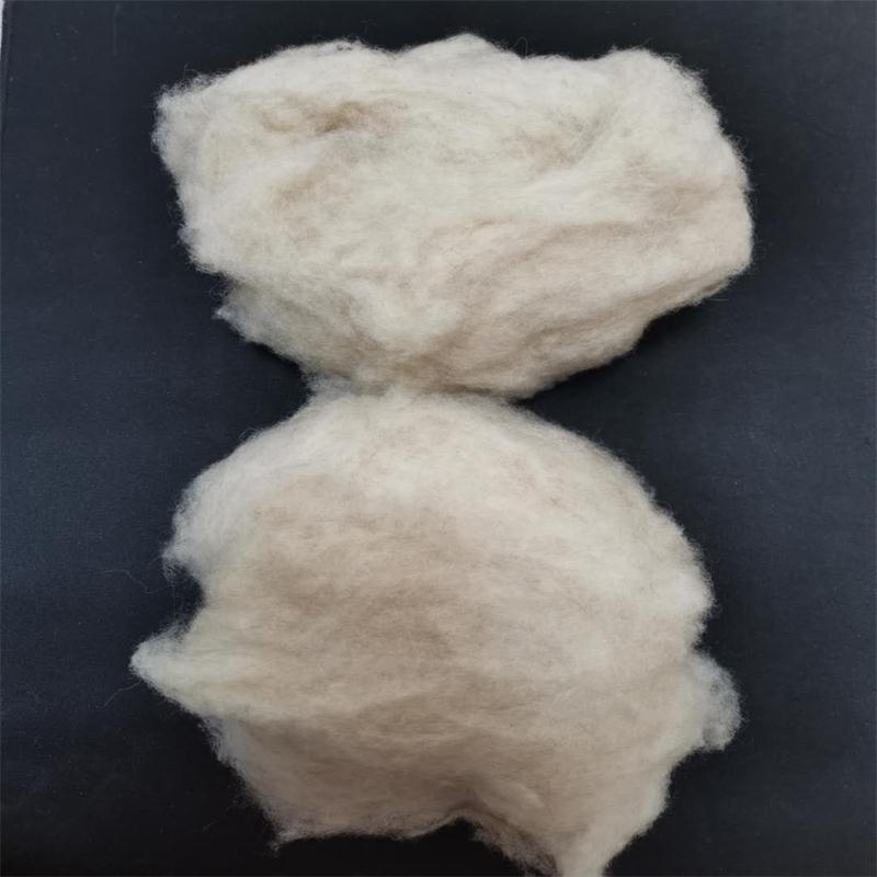 Scoured dehaired wool sheep wool cashmere