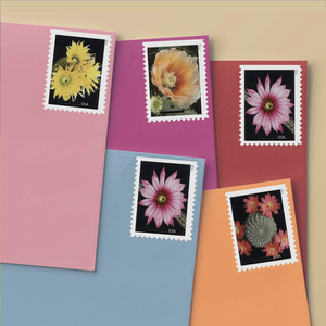 Etiquetas Originales <span class=keywords><strong>de</strong></span> <span class=keywords><strong>Correo</strong></span> <span class=keywords><strong>de</strong></span> EE. UU., Sellos Postales, Etiquetas <span class=keywords><strong>de</strong></span> Regalo, Sellos Postales <span class=keywords><strong>de</strong></span> EE. UU., Recuerdos para Colección - Product Image 4