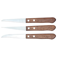Vente chaude Mini Fruit Spéléologie Set Acier et Inoxydable Couteau À Découper Manche En Bois