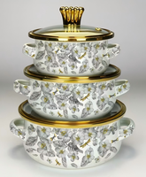 Ensemble de batterie de cuisine émaillée au design floral moderne, comprenant une marmite en verre à double poignée avec couvercle, compatible induction, pour mijoter, faitout et casseroles