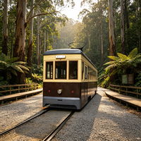 Tramway électrique vintage pour passagers, train touristique, véhicule ferroviaire, jauge personnalisée, directement de l'usine