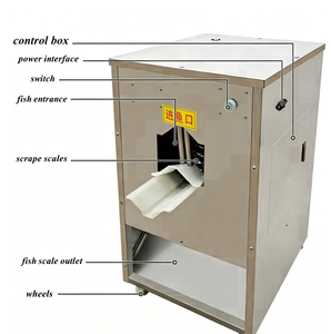 Máquina automática industrial para desescamar pescado, equipo de limpieza de pescado de acero inoxidable para fábrica de mariscos - Product Image 2