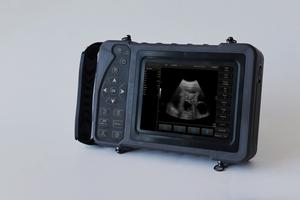 Domba baru pemindai <span class=keywords><strong>Ultrasound</strong></span> sapi pemindai <span class=keywords><strong>Ultrasound</strong></span> kuda pemindai <span class=keywords><strong>Ultrasound</strong></span> dengan Convex <span class=keywords><strong>Probe</strong></span> atau mainan seks - Product Image 3