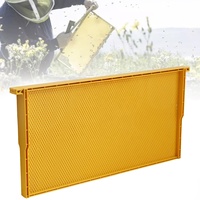 10 pièces de cadres et fondations de ruche jaunes, cadres/fondations d'abeilles tout-en-un pour boîte de ruche profonde Langstroth