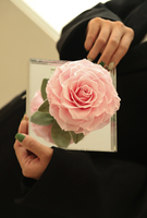 2024 INS Offre Spéciale rose fraîche naturelle fleur préservée dans un dôme en verre en vrac rose préservée pour toujours