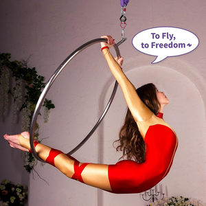 Ensemble de cerceaux aériens Wellshow Sport Lyra Hoop avec matériel de gréement Cerceau unique en acier inoxydable Circus Idéal pour le studio de danse - Product Image 5