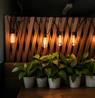 Guirlandes solaires d'extérieur 7,6m-30m ST38 avec ampoules LED Edison, étanches, pour patio, bistrot, lampe féerique avec charge USB-C