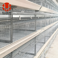 Cage d'élevage multi-niveaux de type H à conception automatique pour poussins, idéale pour les grandes exploitations avicoles et l'élevage de poulets pondeurs