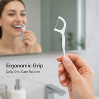 Vente en gros de cure-dents personnalisés durables pour l'hygiène bucco-dentaire, saveur menthe, 50 unités