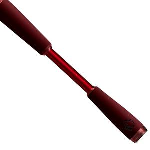 Daiwa — <span class=keywords><strong>canne</strong></span> <span class=keywords><strong>à</strong></span> pêche spinning, produits japonais, grande eau, - Product Image 6