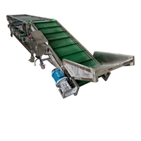 Fruit sorteermachinelijn, fruitgewicht sorteermachine, fruitgrootte sorteermachine