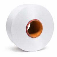 Filament continu FDY 100 % polyester 330D/10F à base fendue, directement de l'usine, pour ruban élastique et sangle recouverte
