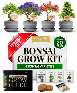 Kit <span class=keywords><strong>d</strong></span>'arbre à bonsaï pour la culture à la maison Kit <span class=keywords><strong>d</strong></span>'espèces faciles à cultiver incluant un kit complet de plantes Pots de bonsaï Boulettes de tourbe Bonus Guide <span class=keywords><strong>d</strong></span>étaillé Excellent - Product Image 1
