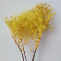 Fleurs séchées en gros de Cotinus (Arbre du Fumée) à plumes soyeuses et préservées pour la décoration de centre de table de mariage bohème