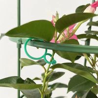 Clips de greffage pour tomates vertes HUAFU à prix d'usine, clips en plastique réglables de 10-15 mm, accessoires de jardin