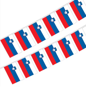 Bandera <span class=keywords><strong>de</strong></span> stock <span class=keywords><strong>de</strong></span> <span class=keywords><strong>Eslovaquia</strong></span>, banderines cuadrados <span class=keywords><strong>de</strong></span> poliéster 100%, banderas colgantes - Product Image 2