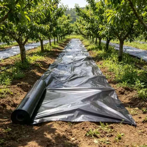 <span class=keywords><strong>Film</strong></span> de serre biodégradable sur mesure en PLA PBAT, souple, anti-goutte, pour la protection des cultures agricoles, <span class=keywords><strong>film</strong></span> de paillage biodégradable - Product Image 6