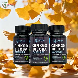 Ekstrak Gingko Biloba, kapsul daun Gingko dengan Extract, ekstrak daun Ginkgo Biloba, kualitas tinggi - Product Image 2