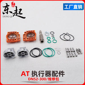 Kit de Reparación de Actuador Neumático Personalizado con Tapas de Extremo Nuevas, Pistones, Sellos, Juntas Tóricas, Eje, Juntas de Plástico - Medio de Trabajo de Aire - Product Image 4