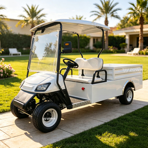 Electric golf carts with built-in buckets are available <b>for</b> factory sale at competitive prices. They are convenient <b>for</b> storing - Product Image 1