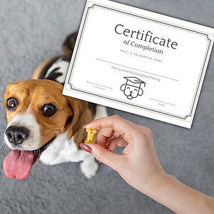 <span class=keywords><strong>Certificado</strong></span> <span class=keywords><strong>de</strong></span> Finalización <span class=keywords><strong>de</strong></span> Entrenamiento <span class=keywords><strong>de</strong></span> Perros, Huella <span class=keywords><strong>de</strong></span> Pata, Premio para Cachorros, para Entrenadores, Habilidad <span class=keywords><strong>de</strong></span> Perro <span class=keywords><strong>de</strong></span> Servicio - Product Image 2