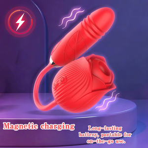 Meilleures ventes 2026 : Vibrateur rose 2 en 1 pour femmes, stimulateur <span class=keywords><strong>clitoridien</strong></span> à poussée et double stimulation, avec fonction de succion, jouet pour adultes - Product Image 1