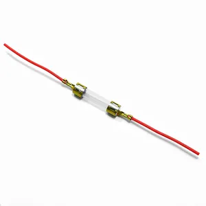 Glass fuse wire 3*10mm with pin F quick break 3x10mm 0.5/2A/3.15A /6.3A/1a Fuse tube with pin Clear glass tube
