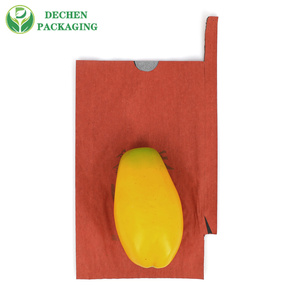 Protect Insect Prevention Apple Paper Bag Growing Fruit Protection Bags