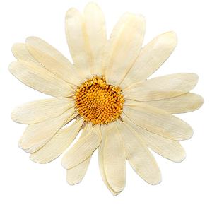 Marsey — Scrapbooking en résine époxy, résine naturelle, écologique, vraies fleurs pressées, DIY bricolage - Product Image 1