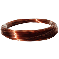 Fil de pêche en nylon monofilament 0,40 mm haute résistance, paquet en vrac 100 m, lignes de pêche monofilament