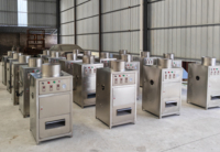 Automatische Knoflook Ui Fruit Schilmachine 1000kg/u Capaciteit Hoge Efficiëntie 304 RVS 220V 1 Jaar Garantie