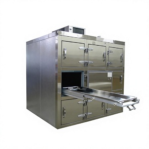 Congélateur Mortuaire Horizontal Labycare 9 Corps en Acier Inoxydable à Chambres Individuelles, Unité de Refroidissement Supérieure, Fiable pour le Stockage de Corps 1 - Product Image 5