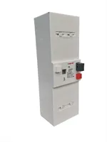 Disjoncteur différentiel réglable (RCBO) LONGROAD PG 6kA Type B en matériau PA66 pour montage sur panneau