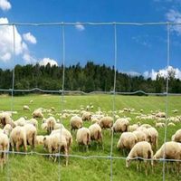 Clôture en treillis métallique pour ferme, filet de sécurité pour moutons, bétail, chevaux et clôture de champ