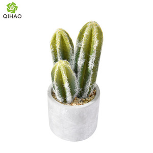 QIHAO Plantas Tropicales Artificiales, Suculentas en Maceta, Alta Simulación, Decoración para el Hogar - Product Image 5