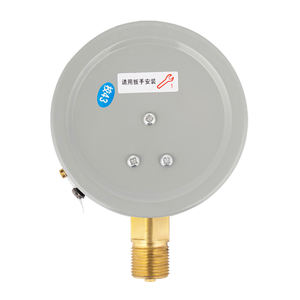 เกจวัดแรงดันน้ำ Y100 แบบธรรมดา เกจวัดแรงดันหม้อต้มน้ำ แบบเชื่อมต่อด้านล่าง ปรับแต่งโลโก้ได้ ราคาถูก - Product Image 6