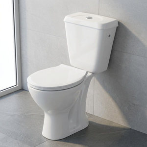 Inodoro de dos piezas de cerámica Vistaar WC Sanitary Ware Africa con sifón en P, montaje en el suelo y descarga por gravedad - Product Image 6
