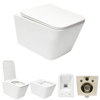 WC suspendu moderne en céramique couleur mate, avec réservoir d'eau dissimulé, pour la maison