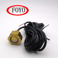 Foyo 12V IP68 LED Marine Brass Navigation Drain Plug LED Multi-color Underwater Light for Yacht Boat