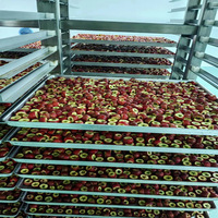 Aanpasbare machine voor het maken van gedroogd fruit, complete lijn voor de verwerking van gedroogd fruit voor fabrieksmatige installatie