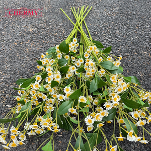 DC189 Flores Artificiales <span class=keywords><strong>de</strong></span> Camomila <span class=keywords><strong>de</strong></span> Tallo Largo, Margaritas <span class=keywords><strong>de</strong></span> <span class=keywords><strong>Seda</strong></span>, Flores Falsas para Decoración del Hogar y Bodas - Product Image 3