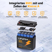 Batterie LiFePO4 12,8 V 30 Ah en stock UE, certifiée CE RoHS, légère (3,2 kg) pour camping-car, camping, bateau, système solaire – Packs de batteries au lithium