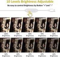 Échantillon GRATUIT : Ampoule LED pour miroir de salle de bain, style maquillage, intensité réglable, lampe USB pour miroir de dressing, kits d'ampoules LED pour miroir