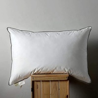 Oreiller en duvet d'hôtel 100% coton, housse de lit à l'épreuve du duvet d'oie naturel, oreillers en plumes pour dormir