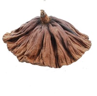 Accessoires photo : Composition florale en bois simple avec kapok, cône de pin, gland et fleurs séchées pour la décoration zen de la maison, du salon et de l'aquarium