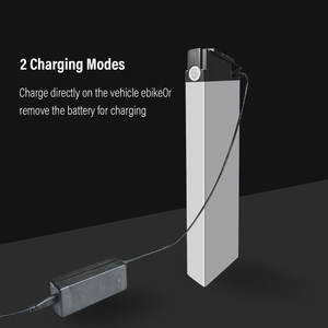 1000W 2000W Ebike pil 36v 48v 52v katlanır e-bisiklet elektrikli bisiklet için şarj ile lityum iyon batarya paket - Product Image 5