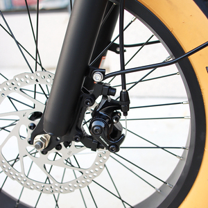 Vélo <span class=keywords><strong>cargo</strong></span> à 3 roues électrique pour adultes, tuk-tuk, tricycle de livraison, vélo-taxi, pédicab pour 2 passagers - Product Image 6
