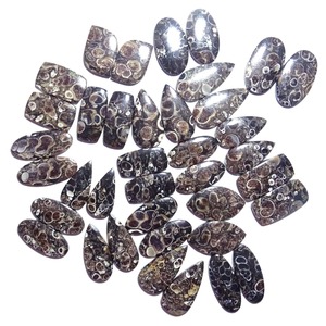 Premium Quality Turritella Agate Pair Smooth Cabochon Stones for Handmade Jewelry and Artisan Creations Available for Sale - Product Image 4