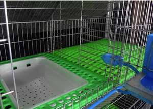 <span class=keywords><strong>Cages</strong></span> à Lapins Commerciales à 4 Niveaux pour 24 Lapins dans la Ville de Yiwu - Product Image 3